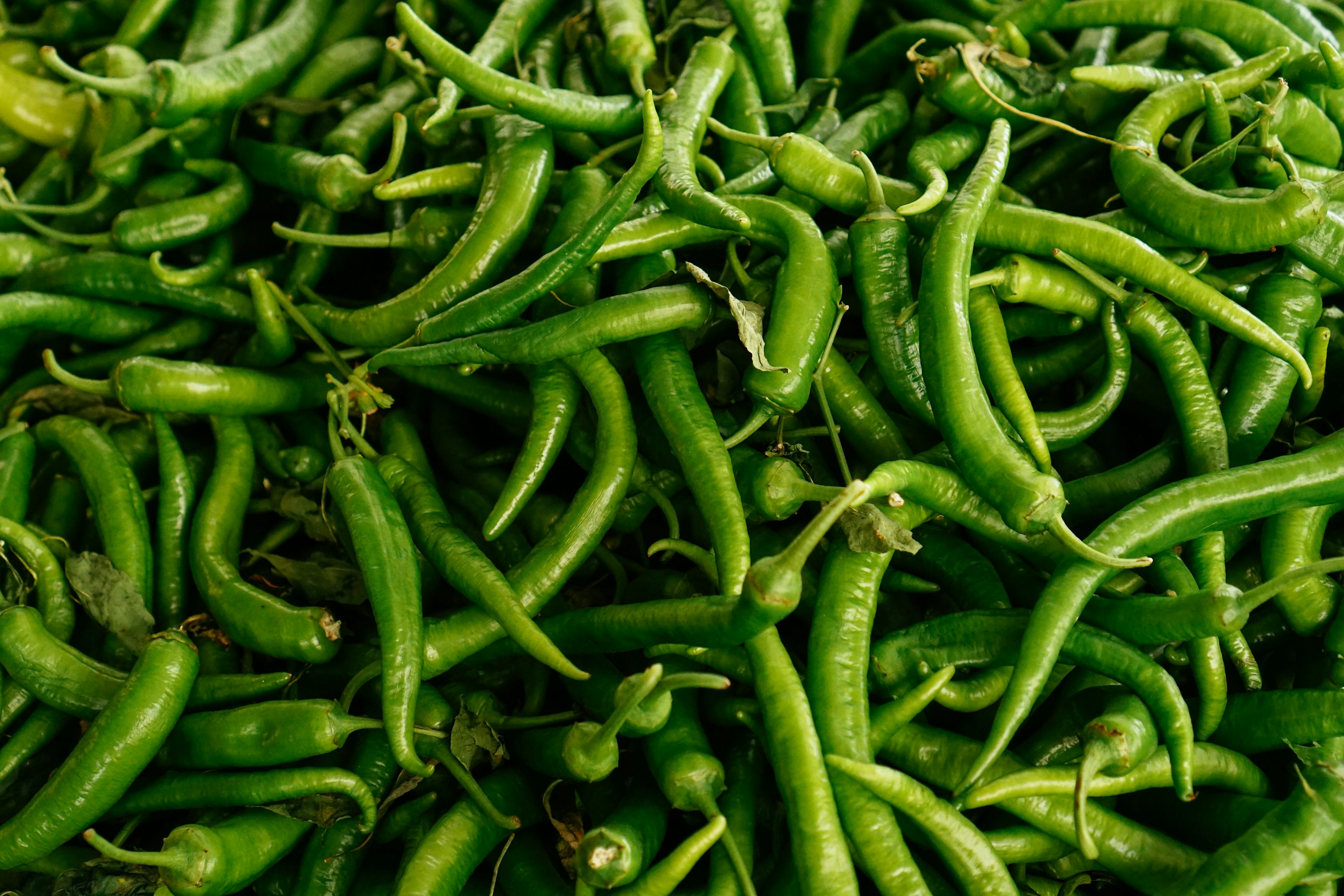 Green Chillies